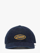 Pet Edgewood Dickies Blauw accessoires DK0A8DN8