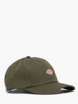 Casquette Hardwick Dickies Vert accessoires DK0A4TKV-vue-porte