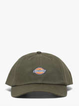 Pet Hardwick Dickies Groen accessoires DK0A4TKV