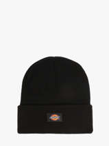Muts Dickies Zwart accessoires DK0A4X7K