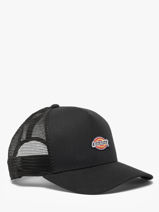 Casquette Dickies Noir accessoires DK0A4YV3-vue-porte