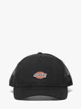 Casquette Dickies Noir accessoires DK0A4YV3