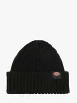 Muts Dickies Zwart accessoires DK0A4Z2O