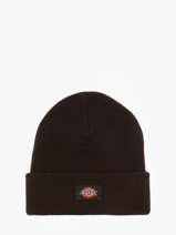 Bonnet Dickies Marron accessoires DK0A4X7K
