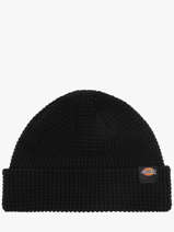 Muts Dickies Zwart accessoires DK0A4XFD