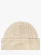 Bonnet Dickies Beige accessoires DK0A4XFD-vue-porte