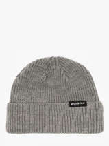 Muts Dickies Grijs accessoires DK0A4X7Y