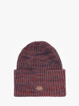 Bonnet Dickies Violet accessoires DK0A4Z3J