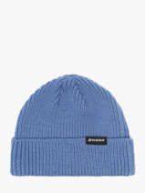 Bonnet Dickies Bleu accessoires DK0A4X7Y