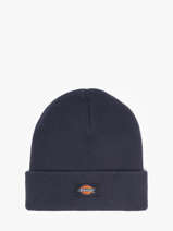 Muts Dickies Blauw accessoires DK0A4X7K