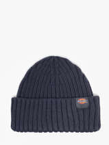 Bonnet Dickies Bleu accessoires DK0A4Z2O