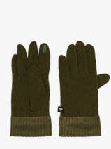 Handschoenen Le voyage en panier Groen accessoires AHG001