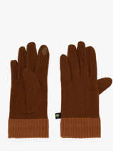 Handschoenen Le voyage en panier Bruin accessoires AHG001