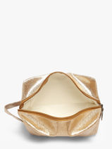 Etui Le voyage en panier Goud accessoires S-vue-porte