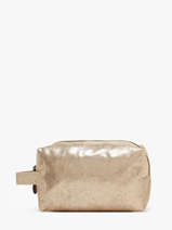 Ritsetui S Scintilette Le voyage en panier Goud accessoires S