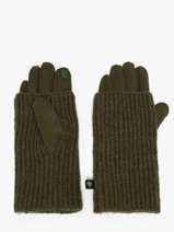 Handschoenen Le voyage en panier Groen accessoires AHG002