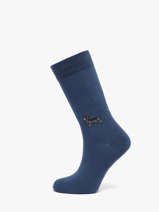Sokken Besocks Blauw socks E