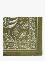 Foulard Le voyage en panier Groen accessoires AHF008-vue-porte