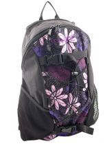 Sac  Dos 1 Compartiment Dakine Violet street packs 8130-060