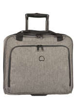Pilot-case  Roulettes Delsey Gris esplanade 3942449