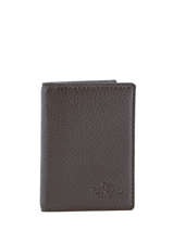 Porte-cartes Cuir Yves renard Marron foulonne 234