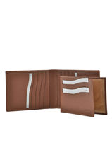 Portefeuille Cuir Cuir Crinkles Marron caviar 14124-vue-porte