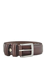 Riem Verstelbaar Petit prix cuir Bruin sport 10751