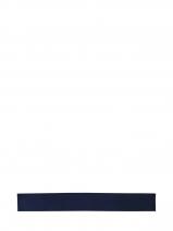 Longchamp Autres lignes Foulard Bleu