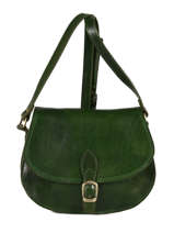 Sac Bandoulire Tempo Cuir Milano Vert tempo TE18062