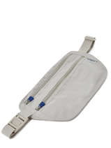 Pochette De Voyage Samsonite Gris global ta C01074