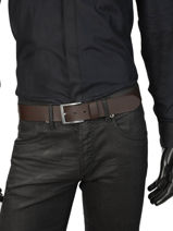 Ceinture Levi