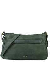 Sac Bandoulire Vintage Cuir Nat et nin Vert vintage DIANE