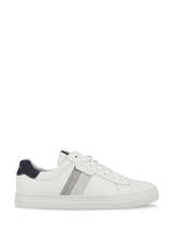 Sneakers spark gang-SCHMOOVE