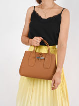Longchamp Roseau Sac port main Marron-vue-porte