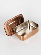 Lunchtrommel Met Elastiek Jeune premier Roze daydream girls G-vue-porte