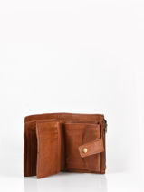 Porte-monnaie Porte-cartes Cow Cuir Basilic pepper Marron cow BCOW94-vue-porte