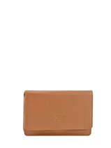 Portefeuille Caviar Leder Crinkles Bruin caviar 14049