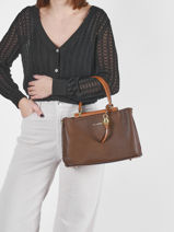 Sac � Main Azalie Ted lapidus Marron azalie TLHF9583-vue-porte