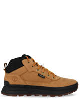 Sneakers field trekker-TIMBERLAND