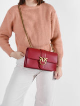 Sac Bandoulire Classic Love Bag Icon Simply Cuir Pinko love bag icon 1P22JH-vue-porte