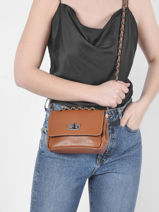 Sac Bandouliere Caviar Cuir Milano Marron caviar CA21122-vue-porte