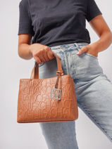 Sac Port Main Liz Armani exchange Marron liz CC793-vue-porte