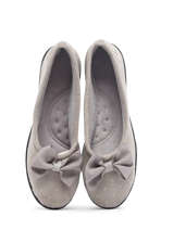 Chaussons Isotoner Marron accessoires 97349