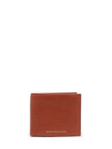 Portefeuille Premium Cuir Tommy hilfiger Marron premium leather AM10239