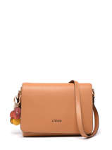 Sac Bandoulire Man Liu jo Marron man AA3246