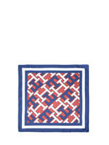 Foulard Tommy hilfiger Bleu iconic mono AW14009