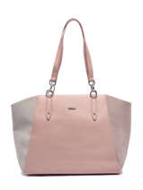 Sac Port paule Egypte David jones Rose egypte 2