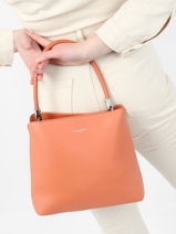 Handtas Elegance David jones Oranje elegance 1-vue-porte
