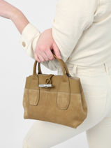 Longchamp Roseau soft Sac port main Marron-vue-porte