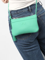 Sac Bandoulire Jesse Cuir Nathan baume Vert nathan 17-vue-porte